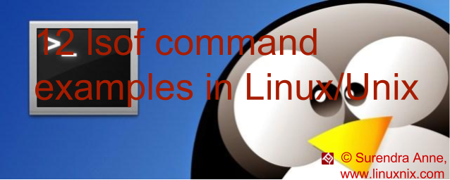 lsof command in Linux/Unix