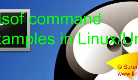 12 lsof Command examples in Linux/Unix