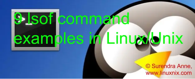 12 lsof Command examples in Linux/Unix